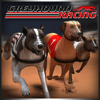 Greyhound Racing Game