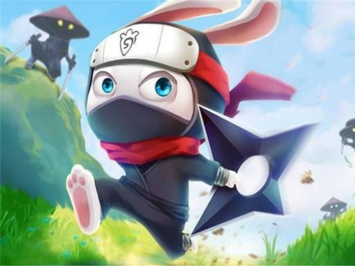 Ninja Rabbit Game