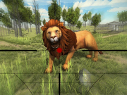 Lion Hunting 3D Game