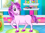Pony Pet Salon Game