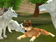 Wild Wolves Hunger Attack Game Online